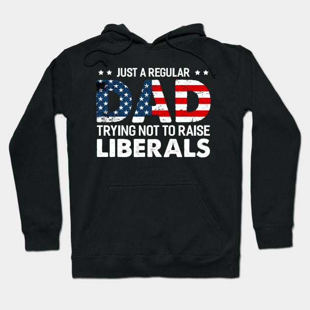 Just A Regular Dad That Didn't Raise Liberals,Father's Day Hoodie by joneK